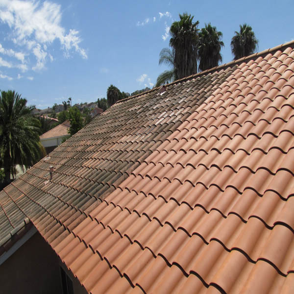 Roof Cleaning Service